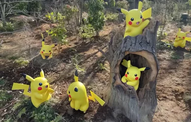 ポケモンフォレスト ポケパーク カントー ポケモンフォレスト