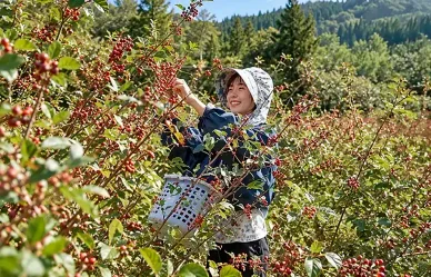 紀行番組 中村ユウリさんが沖縄を旅する番組『遠くへ行きたい』