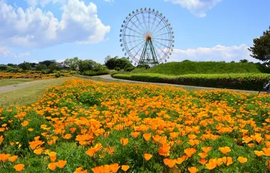 プレジャーガーデンエリア