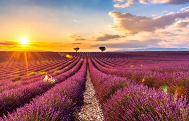 Francie,Provence Provence, Francie