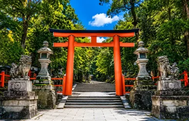 歴史 歴史春日大社