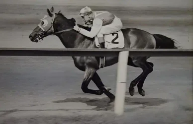 magyar kanca Kincsem