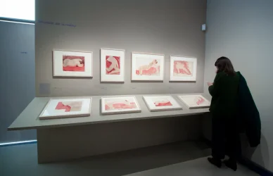 Exposition de dessins de nus au Musée Rodin Paris.