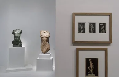 Sculptures et photographies exposées au Musée Rodin.