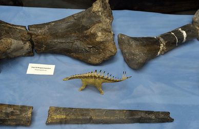 Uma viagem extraordinária ao mundo dos dinossauros no Dino Parque da Lourinhã