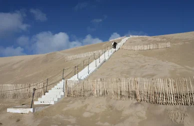 Escalier aménagé pour faciliter l’ascension de la dune du Pilat.