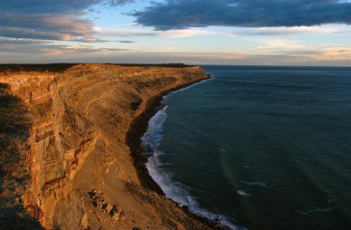 Півострів Вальдес, Аргентина