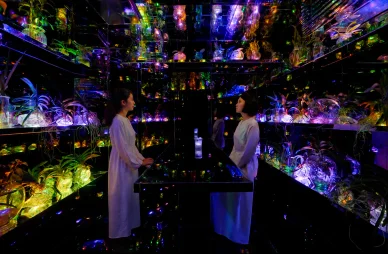 Glass House — 螢花菴