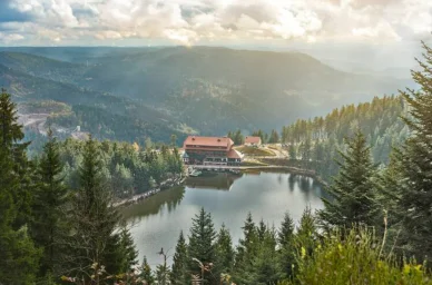 Nationalpark Schwarzwald