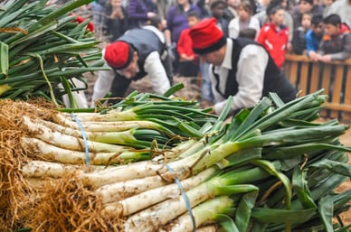 La fiesta de la Calçotada 2024