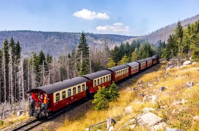 Zug durch die Wälder des Harzes, Deutschland