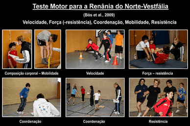 Alunos a realizar exercícios de velocidade, resistência muscular e coordenação