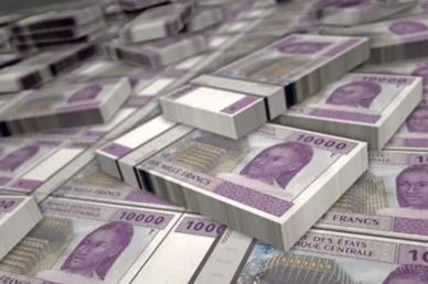 Купюры Центральноафриканского франка 10000 XAF 