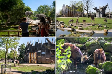diergaarde blijdorp rotterdam
