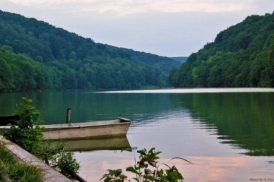 Барвінок (Стрийський район)