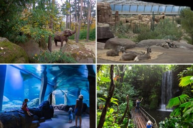 foto's van burgers' zoo