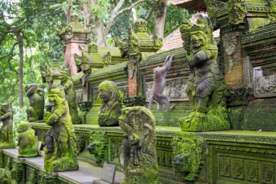Ubud Monkey Forest
