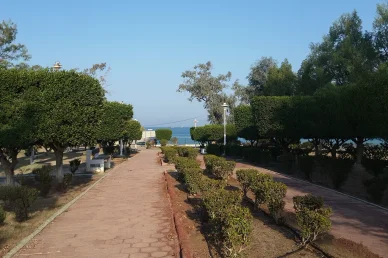 ممر مشاة مرصوف في حديقة ساحلية جميلة محاط بالأشجار الخضراء مع إطلالة خلابة على البحر.