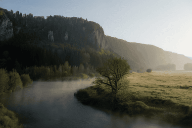 Des Altmühltals im Morgennebel