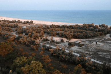 Бирючий Острів
