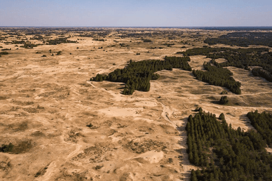 Панорама Олешківських пісків