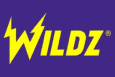 wildz logo wildz logo