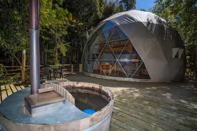 Отель Cabañas Ensenada Bosque Nativo