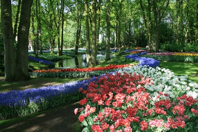 Keukenhof