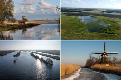 friesland natuur