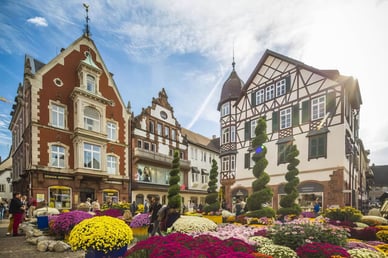 Chrysanthemenfest Lahr 2025: Blütenkunst, Programm & Reisetipps