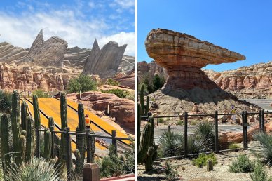 Radiator Springs Racers