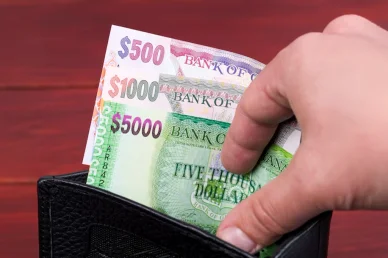 Банкноты гайанского доллара: 500,1000, 5000 GYD 500, 1000, 5000 GYD