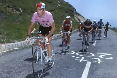 vincitore del Giro d'Italia