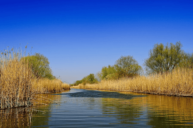 Водні протоки Дністровських плавнів