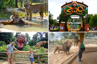 drayton manor zoo