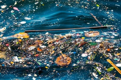Images of Plastic Pollution in the Ocean