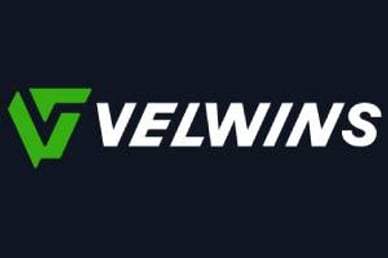 velwins logo