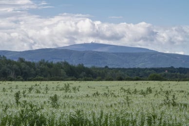 Der Brocken im Harz, Deutschland