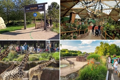 gaiazoo kerkrade