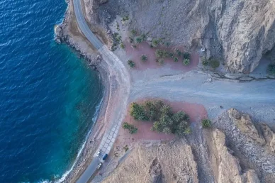 طريق الساحل: لوحة طبيعية تجمع بين البحر والجبال لقطة جوية عمودية لطريق ساحلي يمر بين جبال صخرية ومياه البحر الزرقاء وتظهر فيه أشجار النخيل