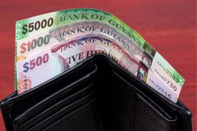 Банкноты гайанского доллара: 500,1000, 5000 GYD Гайанский доллар