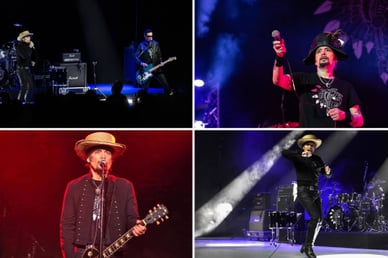 adam ant concert