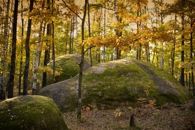 Камінне Село