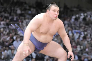 安青錦新大相撲の経歴