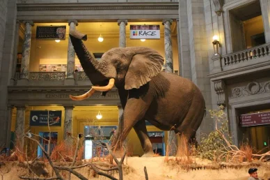 Maldivene nasjonalmuseum