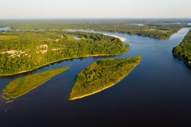 Деснянський біосферний резерват