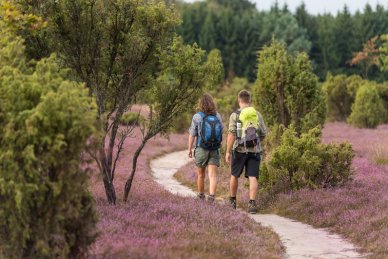 Wandern ist eine großartige Möglichkeit, die Welt auf umweltfreundliche Weise zu erkunden Heidschnuckenweg Etappe 10