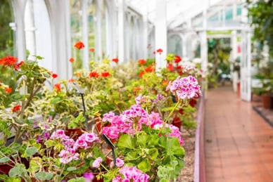 the botanical gardens birmingham