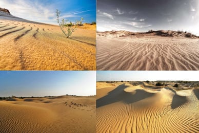 Олешківські піски