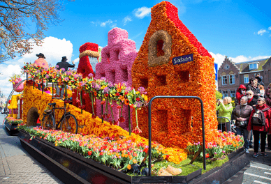 Фестиваль квітів